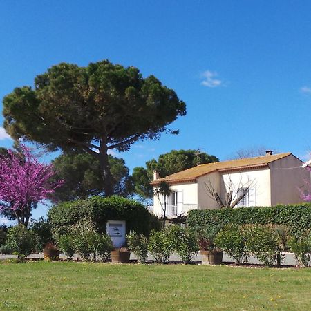 A L'Oree Des Vignes Montady Екстер'єр фото