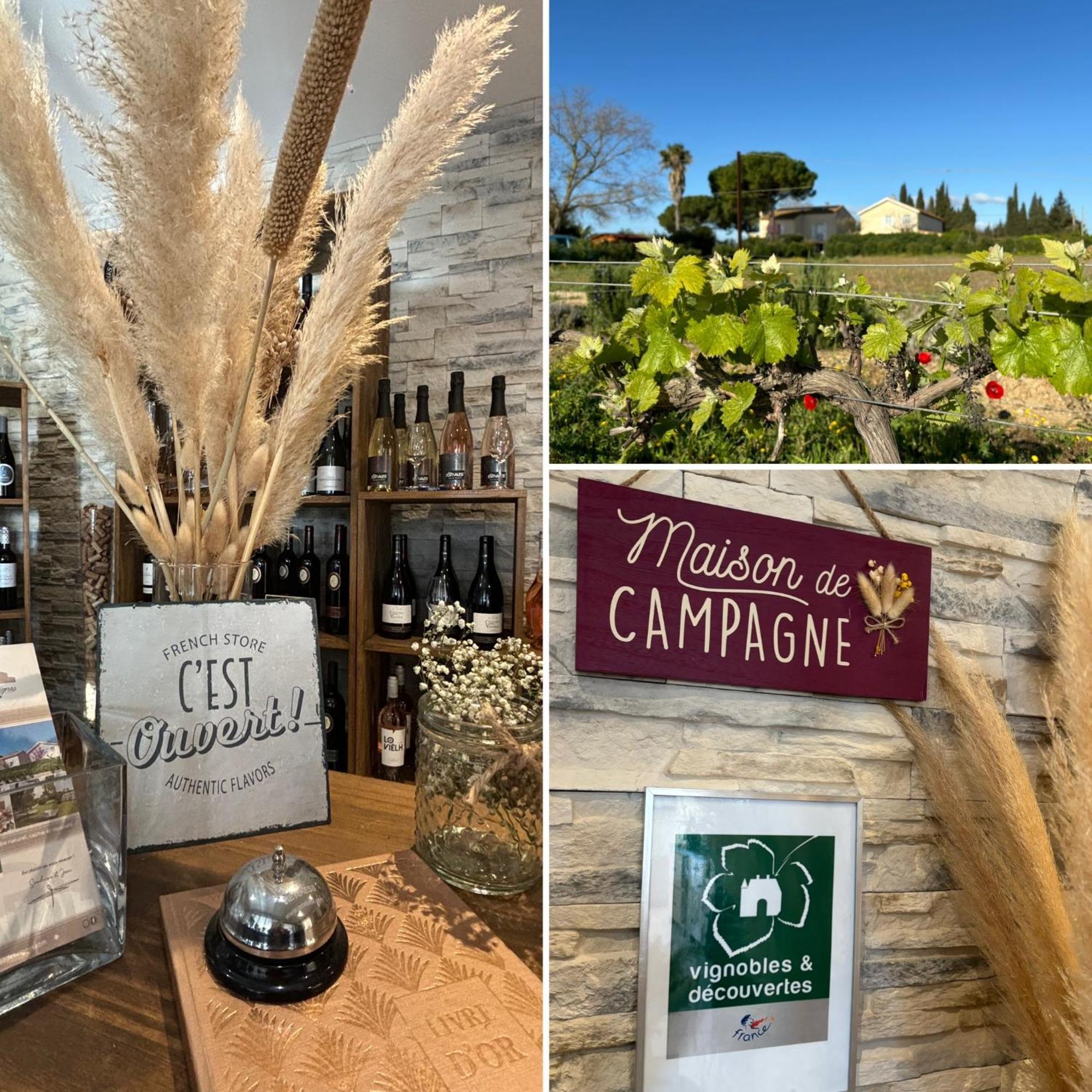 A L'Oree Des Vignes Montady Екстер'єр фото