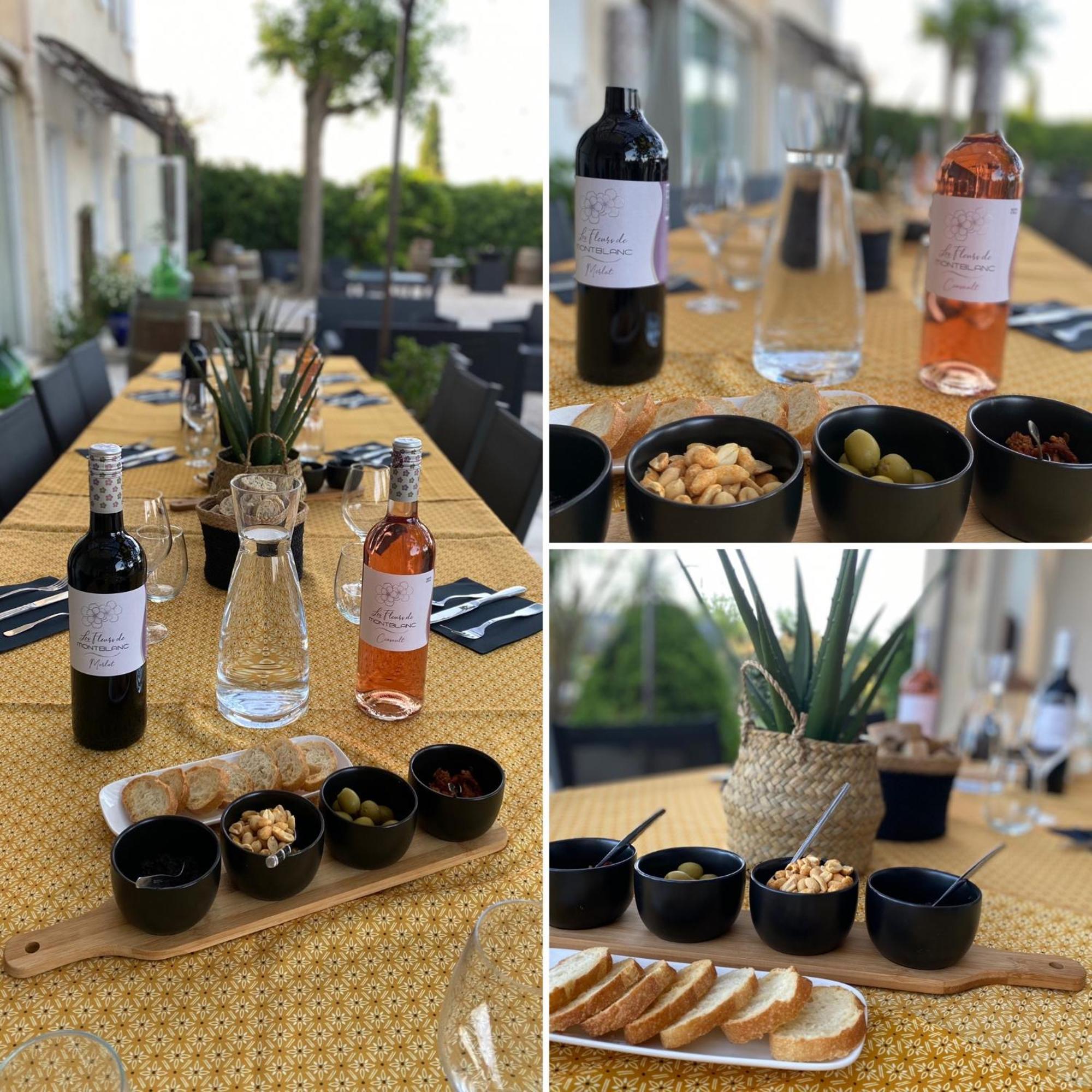 A L'Oree Des Vignes Montady Екстер'єр фото